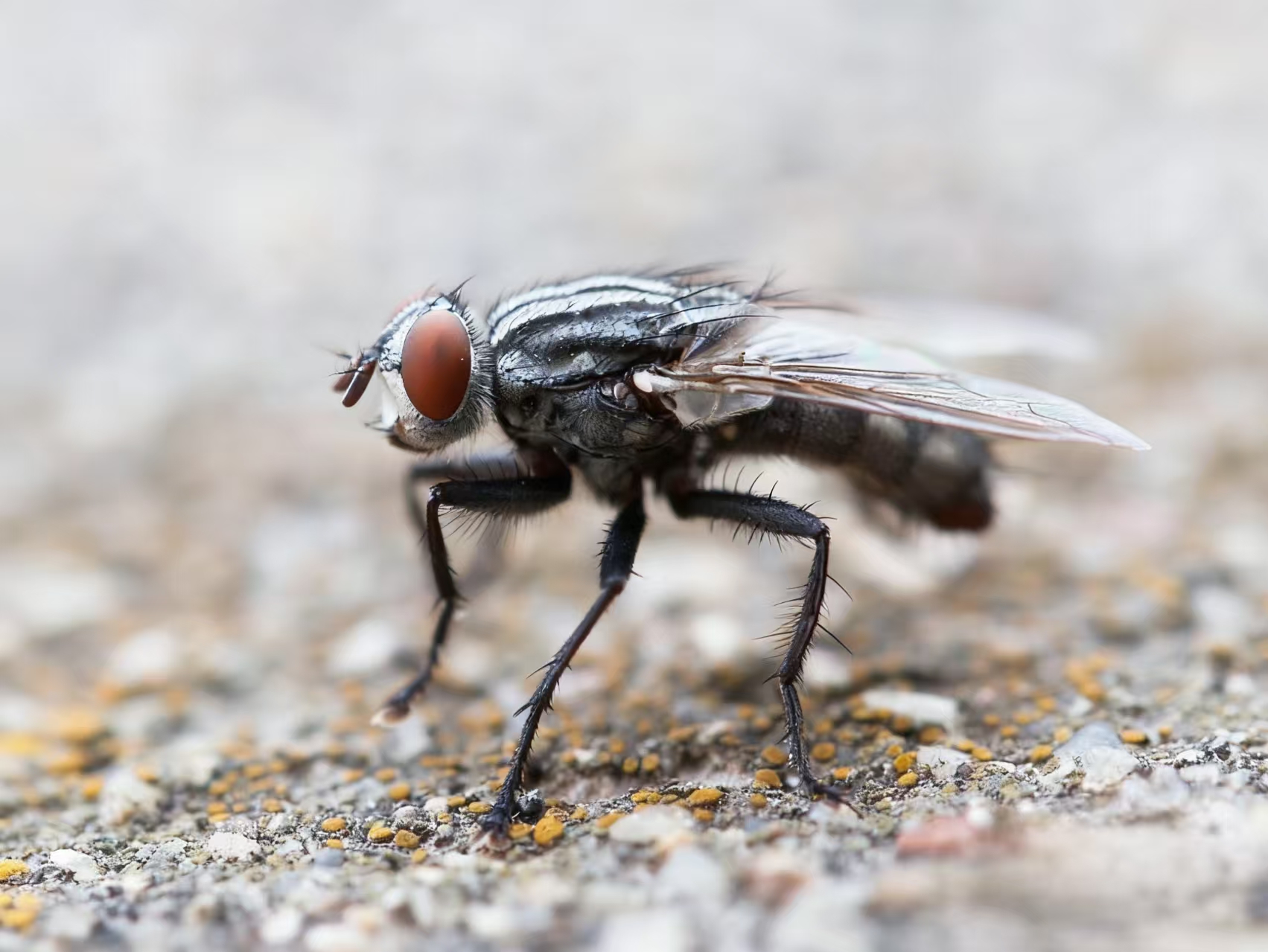 1764549776682912.jpg 1764549776682912.jpg