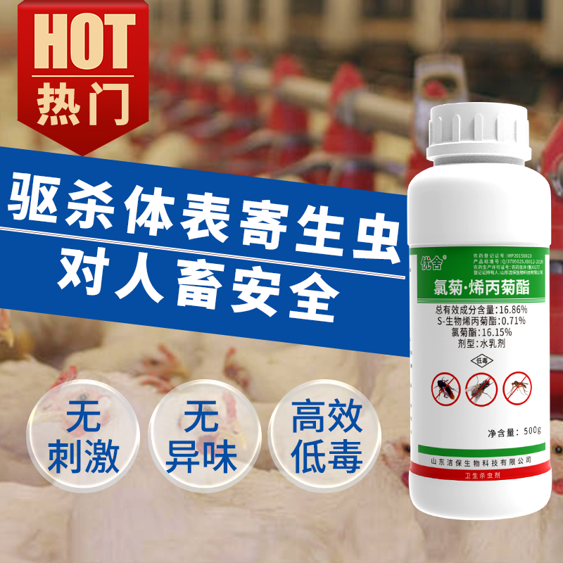 1764550493734303.jpg 2.jpg