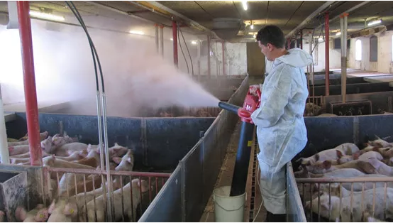 1766711402428808.png bb4655c16cfbd305a268c76e352b04e2.png