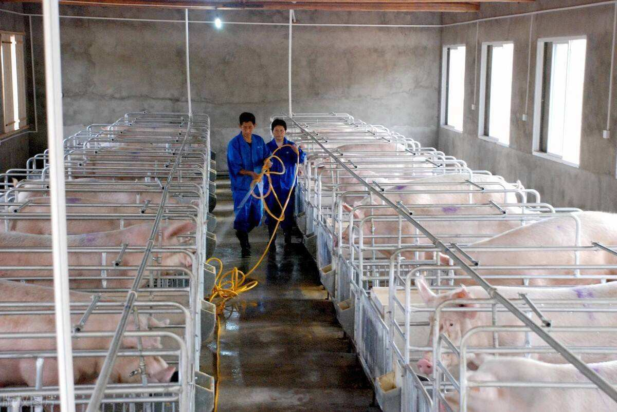 1766711480329036.png 1766711480329036.png